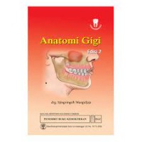 Anatomi gigi