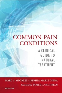 Common Pain Conditions A Clinical Guide To Natural Treatment